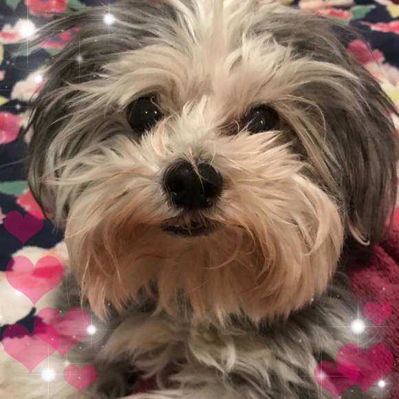 Meet your Posher, Kate - Picture 1 of 1